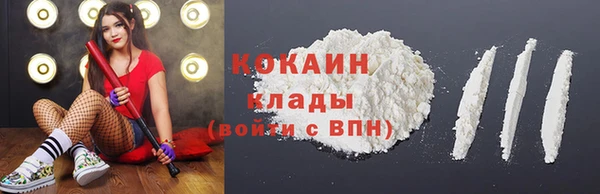 тгк Арсеньев