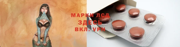 крисы Аркадак