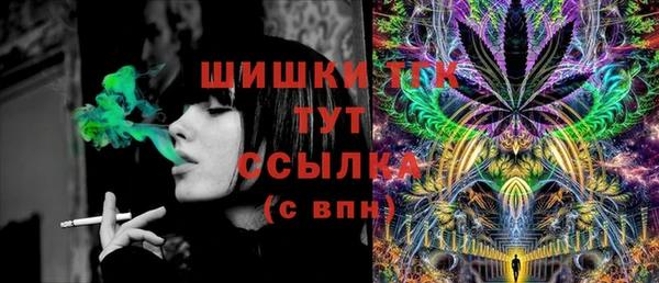 крисы Аркадак