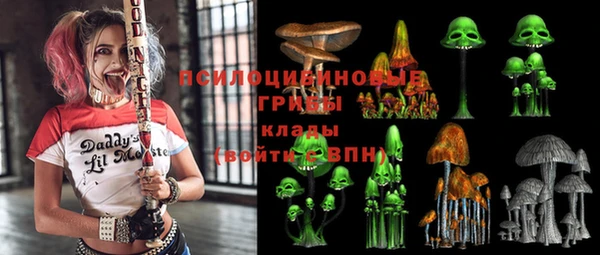 крисы Аркадак