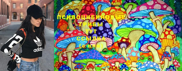 крисы Аркадак