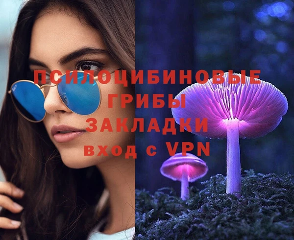 тгк Арсеньев