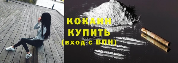 крисы Аркадак